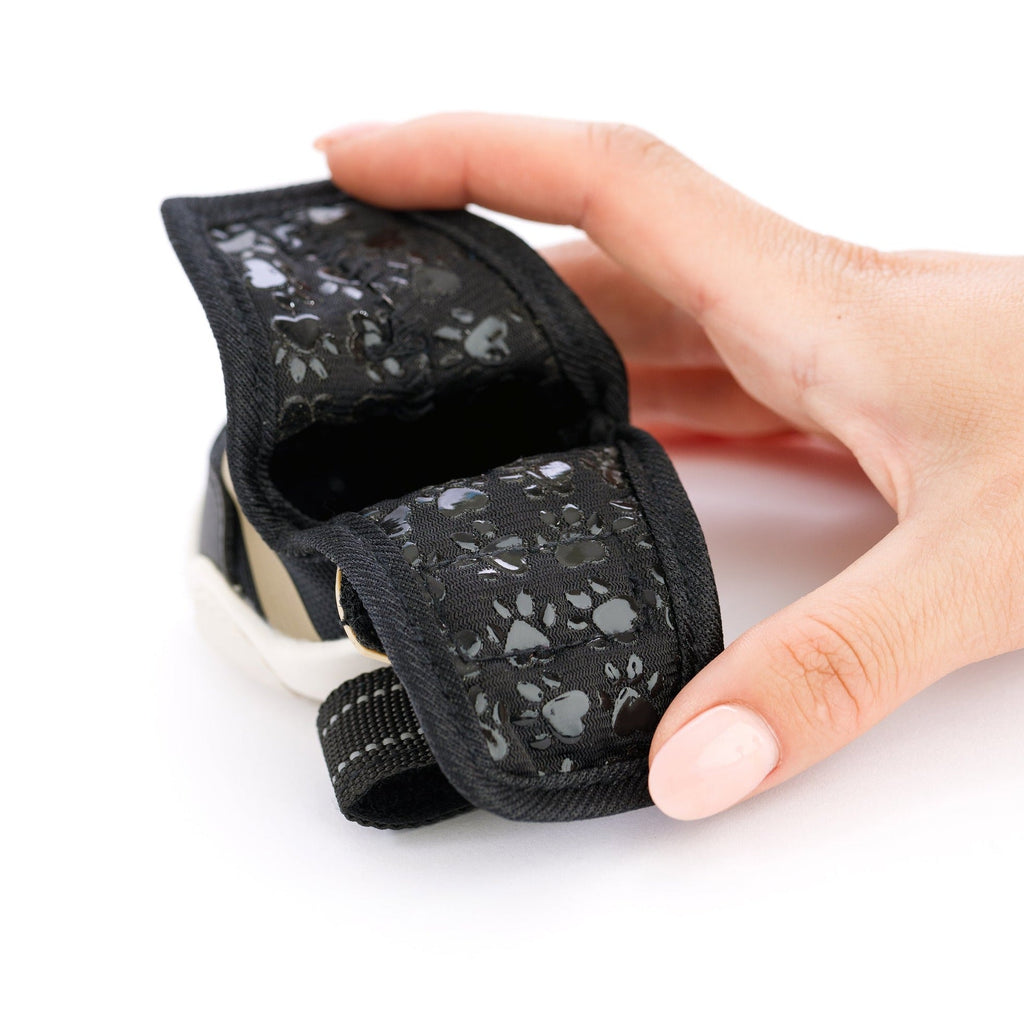 The Kai- Dog Sneaker