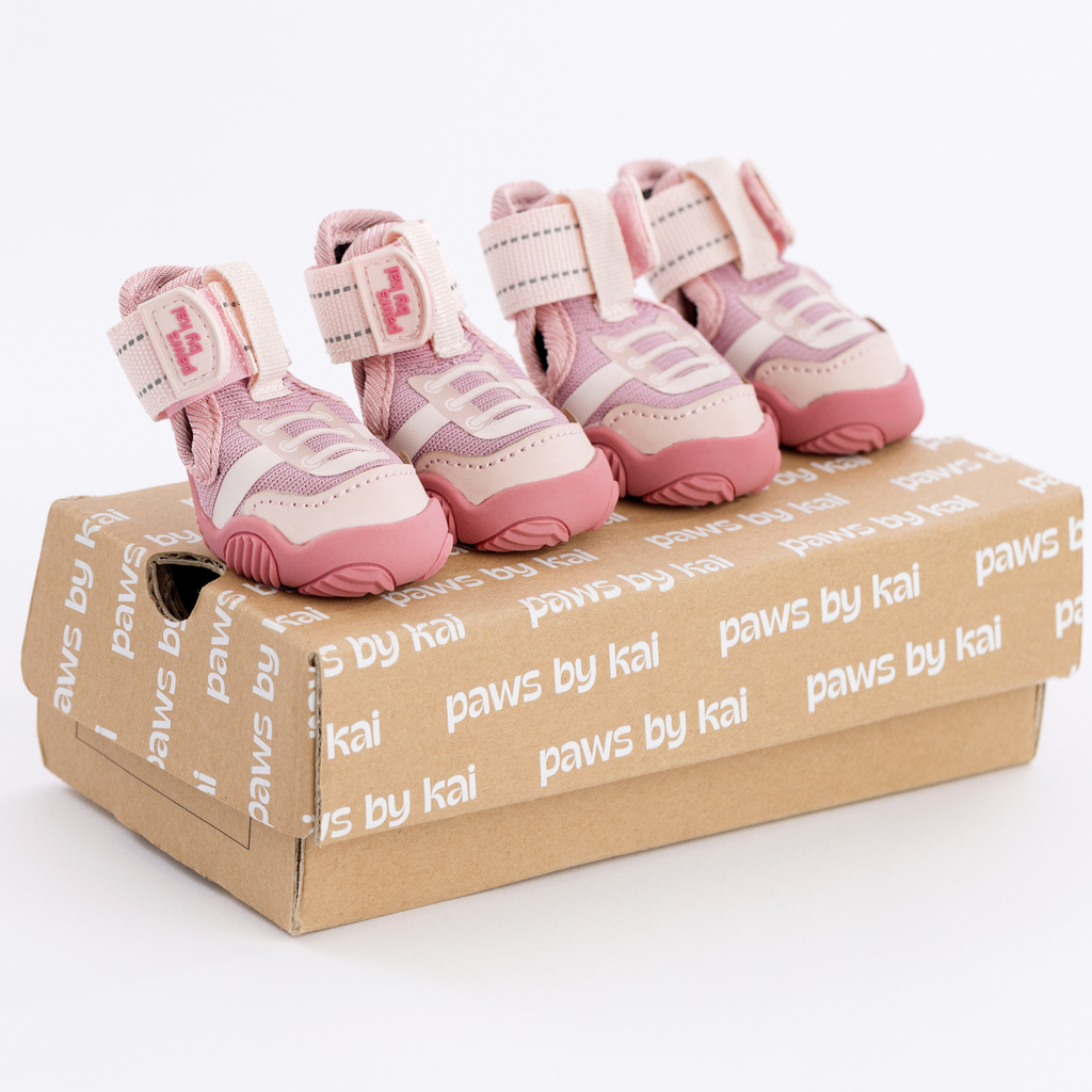 The Kai- Dog Sneaker